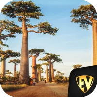 Senegal Travel & Explore, Offl